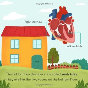 Cardiology, Ophthalmology for kids