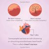 Cardiology, Ophthalmology for kids - Image 2