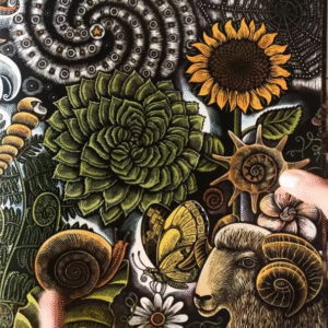 The beauty and usefulness of spirals in nature