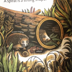 The beauty and usefulness of spirals in nature - Image 3
