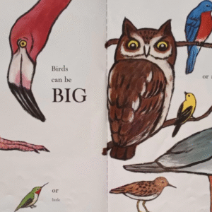 Birds - Data collection and Analysis - Image 3