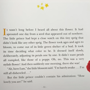 The Little Prince (for kids) - Image 2
