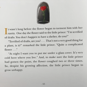 The Little Prince (for kids) - Image 3