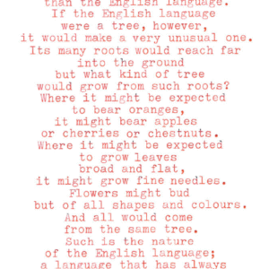 English Grammar (The visual way) - Image 2
