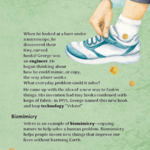 Biomimicry / copying nature to solve a human problem - Image 3