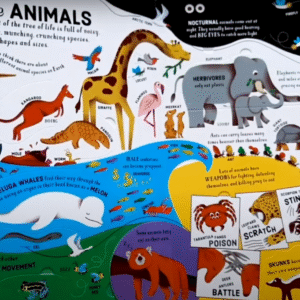 A child's book of Biology - Image 3