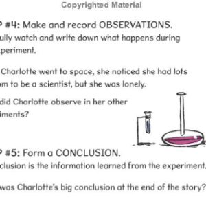 The scientific method by Charlotte - Image 3