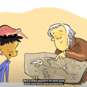 The Story of Evolution (natural selection) by Darwin - Image 2