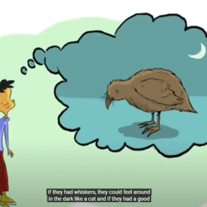 The Story of Evolution (natural selection) by Darwin - Image 6