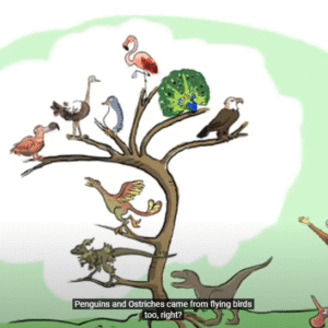 The Story of Evolution (natural selection) by Darwin - Image 8