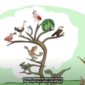 The Story of Evolution (natural selection) by Darwin - Image 9