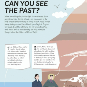 Scientific discoveries and how science works - Image 4