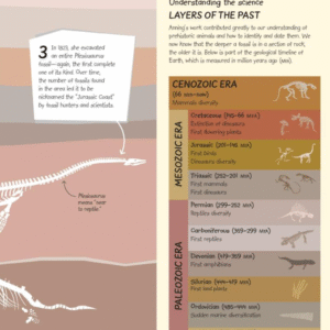 Scientific discoveries and how science works - Image 5