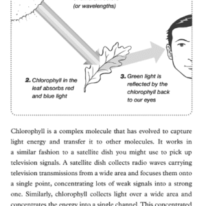 Answers to Everyday Scientific Questions - Image 7