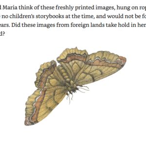 The first female entomologist - Image 5