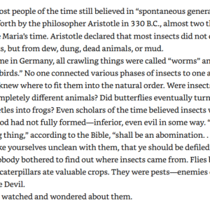 The first female entomologist - Image 3