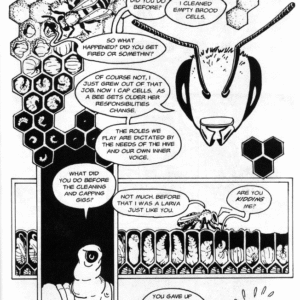 A Hive's Story for kids - Image 5