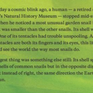 The extraordinary true story of Jeremy, the lefty snail - Image 4