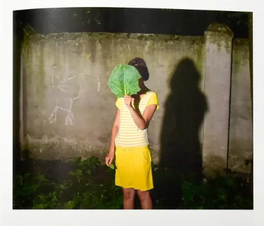 Photography Projects for kids